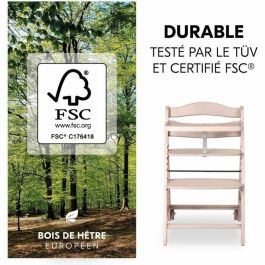 Hauck HAU1715730458756 Trona BETA+ Evolutiva Madera FSC De 6 meses a 90 kg con Arnés de 5 puntos y Ruedas, Blanqueada