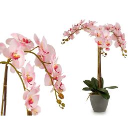 Orquidea Rosa Maceta Conica Gris Jumbo Ibergarden 40X78CM (2 Unidades) Precio: 52.5000003. SKU: B17YQ2VL2G