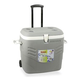 Hidalgo Nevera Camping 41L Gris Ruedas Asa Telescópica 60h Ultra Precio: 75.68999999. SKU: B12Z59Q8ZF
