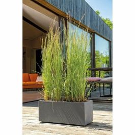 Deroma 9H924SZ Jardinera Muret Millennium R Antracita con reserva de agua, 59 cm
