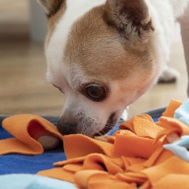 Alfombra Olfativa para Mascotas Fooland InnovaGoods