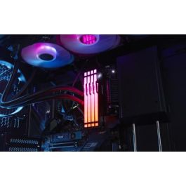 Memoria Kingston 16Gb 6800Mt/S Ddr5 Cl34 Fury Beast Rgb Expo - KF568C34BBEA-16 Memoria Kingston 16Gb 6800Mt/S Ddr5 Cl34 Fury Beast Rgb Expo - KF568C34BBEA-16