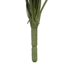 Rama Singonio Verde "Pvc" 43 X 41 X 46 cm