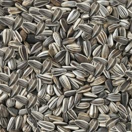 Comida para pájaros Deli Nature Premium 2,5 kg