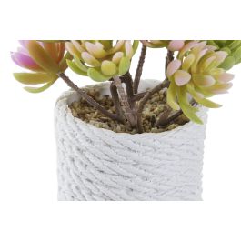 Planta DKD Home Decor Beige Gris 10 x 14.5 x 12 cm (6 Unidades)