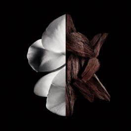 Perfume Mujer Givenchy Gentleman Boisée 200 ml