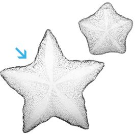 Plato Estrella Mar Avet diámetro 34,5 cm (4 Unidades)