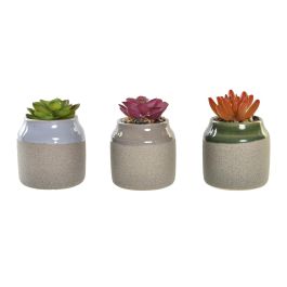 Planta Scandi DKD Home Decor Verde Gris 7.5 x 12 x 7.5 cm (6 Unidades)