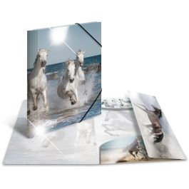 HERMA 19329 Carpeta convencional A4, de polipropileno, diseño brillante de caballo, cierre con banda elástica, multicolor Precio: 16.78999993. SKU: B1JTNLGN42
