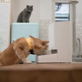 Comedero automático Xiaomi Smart Pet Food Feeder Blanco 3,6 L Comedero automático Xiaomi Smart Pet Food Feeder Blanco 3,6 L