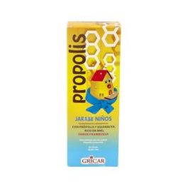 Gricar Propolis+Echinacea Jarabe Niños 200Ml para Infecciones Respiratorias Precio: 17.9899995. SKU: B1CM5VRK9G