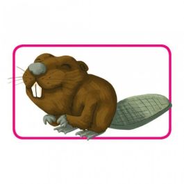 Asmodee Concept Kids Animals - Juego de Mesa Infantil para Adivinar Animales