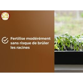Tierra para Semillas - ORO MARRÓN - OBRTSEM6U - 6L - Mejora el Drenaje - Retención Óptima de Agua Tierra para Semillas - ORO MARRÓN - OBRTSEM6U - 6L - Mejora el Drenaje - Retención Óptima de Agua