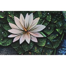 DKD Home Decor Glass art 2c25 Cuadro Item Home Multicolor Cristal Templado 150 x 100 x 0.4 cm