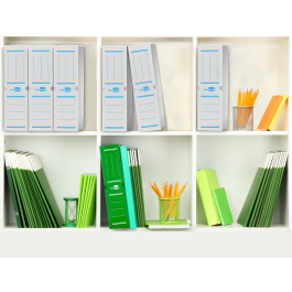 Liderpapel Caja archivo definitivo plástico blanco lomo 100 mm 360x100x260 mm