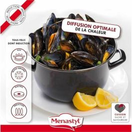 THEKITCHENETTE 3645567 Olla para mejillones 2.7L Acero Esmaltado Negro, Tapa Reversible Plato/Conchas, Todas Fuentes de Calor Inducción 20cm THEKITCHENETTE 3645567 Olla para mejillones 2.7L Acero Esmaltado Negro, Tapa Reversible Plato/Conchas, Todas Fuentes de Calor Inducción 20cm