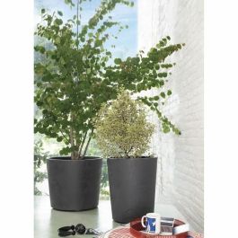 Deroma 9HA14SZ Maceta Jarrón Millennium R Antracita con reserva de agua 53 cm altura