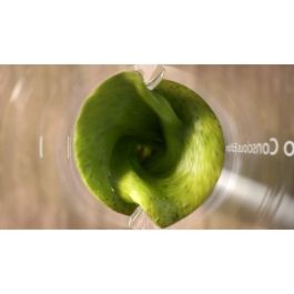 Licuadora - PHILIPS - HR2500/00 Pro Blend - 350 W - 0,6 L - Blanca Licuadora - PHILIPS - HR2500/00 Pro Blend - 350 W - 0,6 L - Blanca