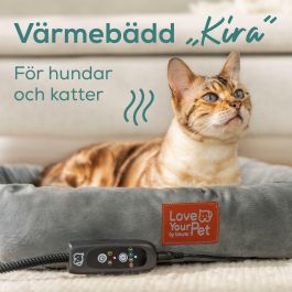 Hidrolimpiadora Beurer PP250 KIRA Gris