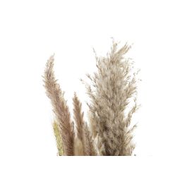 DKD Home Decor Ramo de Flor Seca, Marrón Beige, 6 Unidades, Dimensiones 3 x 53 x 12 cm DKD Home Decor Ramo de Flor Seca, Marrón Beige, 6 Unidades, Dimensiones 3 x 53 x 12 cm