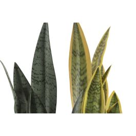 DKD Home Decor Planta Verde Amarillo 13 x 35 x 13 cm (6 Unidades)