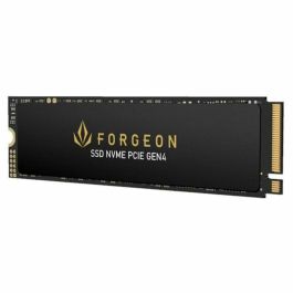 Disco Duro Forgeon 4 TB SSD