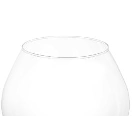 Giftdecor Jarrón de Cristal Copa Balón 22 cm, Transparente - 18.5x22x18.5 cm (6 Unidades) Giftdecor Jarrón de Cristal Copa Balón 22 cm, Transparente - 18.5x22x18.5 cm (6 Unidades)