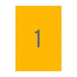 Apli Etiquetas Adhesivas 210x297 mm Láser C-Rectos 1 X 20H Naranja Fluorescente Precio: 11.49999972. SKU: S8400922