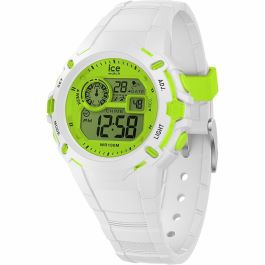 Reloj Mujer Ice 024004 (Ø 40 mm) Reloj Mujer Ice 024004 (Ø 40 mm)