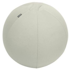 Silla De Balon Leitz Active Ergo   Ø55Cm Antideslizante Gris Precio: 84.09258. SKU: B152Q2TNEY
