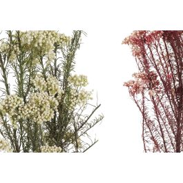 DKD Home Decor Ramo de Flor Seca de Arroz Blanco Rosa 3x72x11 cm, 12 Unidades, Surtido Aleatorio DKD Home Decor Ramo de Flor Seca de Arroz Blanco Rosa 3x72x11 cm, 12 Unidades, Surtido Aleatorio