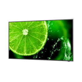 Monitor LCD NEC 60005045 IPS Direct-LED 42,5" 42,5" Monitor LCD NEC 60005045 IPS Direct-LED 42,5" 42,5"