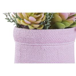 Planta DKD Home Decor Rosa Multicolor 14 x 20 x 17.5 cm (4 Unidades)