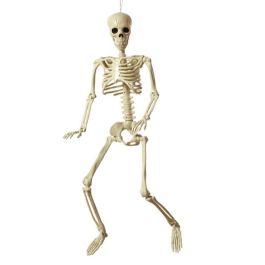 Decoración para Halloween Esqueleto 82 cm Precio: 10.89. SKU: B153MAR6EJ