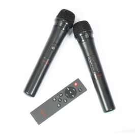 Aiwa KBTUS-608 Altavoz Trolley 80W RMS con Iluminación RGB-LED, Bluetooth, USB/Micro-SD y 2 Micrófonos Inalámbricos