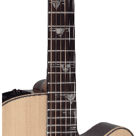Takamine Guitarra Electroacústica DSF48 Santa Fe NEX Cutaway - Natural
