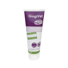 Gingivet Pasta 100 gr Precio: 11.99. SKU: B13HWR9ZRW