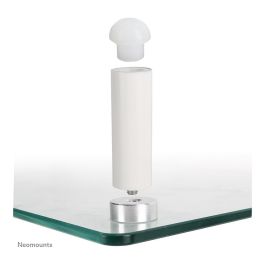 Mesa TV Neomounts NSMONITOR10 Negro Transparente