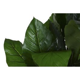 Planta Tropical DKD Home Decor Verde 80 x 180 x 80 cm (2 Unidades) Planta Tropical DKD Home Decor Verde 80 x 180 x 80 cm (2 Unidades)