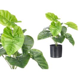 Ibergarden Maceta Planta Hojas Anchas 38 cm Verde o Negro, Material Plástico (Set de 6) Precio: 47.88999952. SKU: B1CHEYNTEH