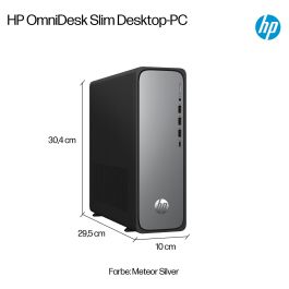 HP OmniDesk S03-0412ng Intel 300 8GB RAM 512GB SSD Windows 11 Negro