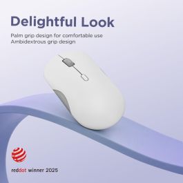 Ratón Lenovo GY51S61907 Gris 2400 dpi