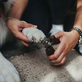 Hunter Pinza Corta Uñas M para Uñas Duras, Corte Preciso y Suave para Perros, Gatos y Pájaros