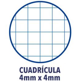 Oxford Cuaderno Espiral 80H Folio 4x4 mm C-Margen Tapa Blanda Pack 4+1 Ud Colores Vivos