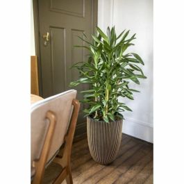 Capi Europe 445495 Florero Elegant Groove 46x58 cm Negro y dorado