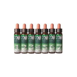 Plantis Remedio Nº 3 Exámenes Concentración y Memoria Eco 10ml Precio: 12.8900002. SKU: B1G9W3KHA5
