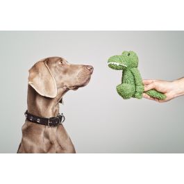 Gloria Pinky Peluche Perro Cocodrilo, Juguete Blandito Afelpado con Sonido para Perros Pequeños, Talla S - Color Verde
