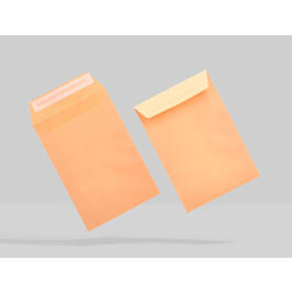 Liderpapel Bolsa N.0 Cel Caña Sobres Salarios 100x145mm Tira Silicona Caja 1000 Unidades