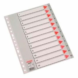 Esselte Índice Numérico Multitaladro 1-12 Polipropileno Folio Gris Con Carátula Índice Cartón Color Precio: 3.88999996. SKU: B12TJ4X22C