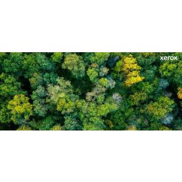 Xerox B225-B230-B235 Toner Negro 1.200 Pág.